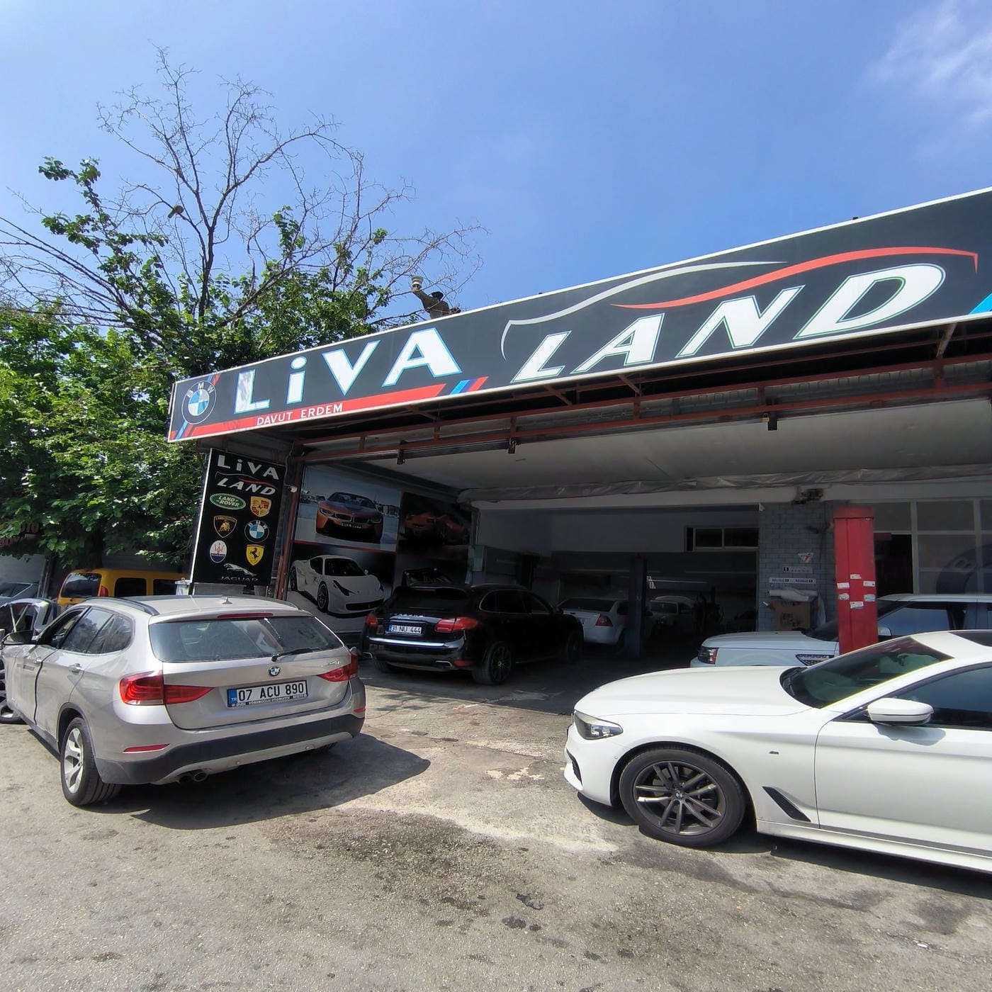 Livaland Servis - 11