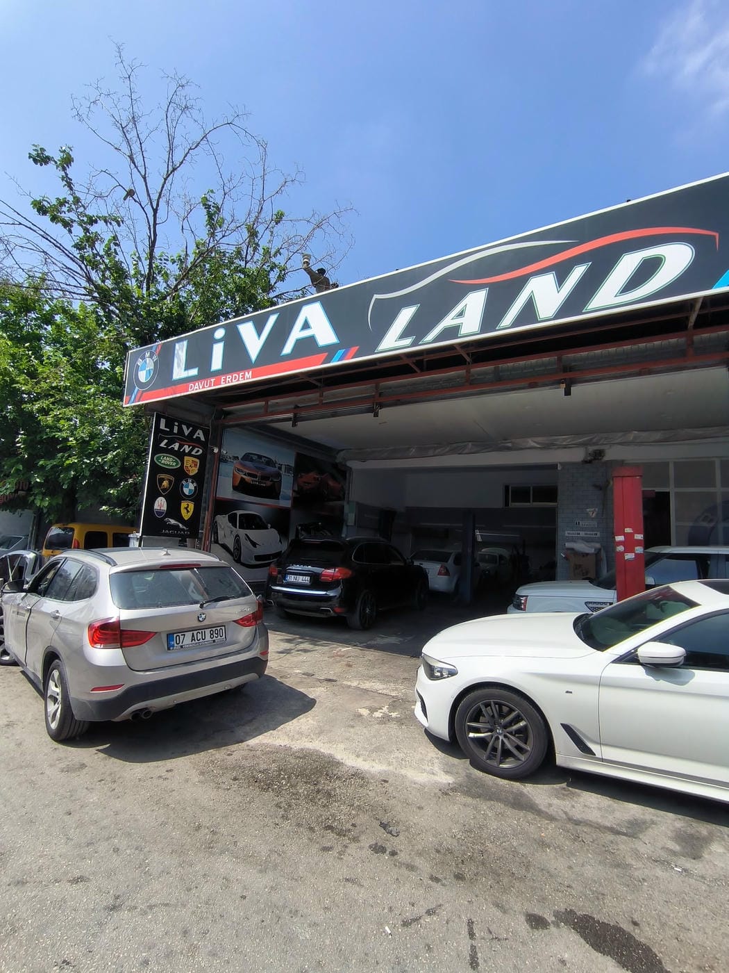Livaland Servis - 13
